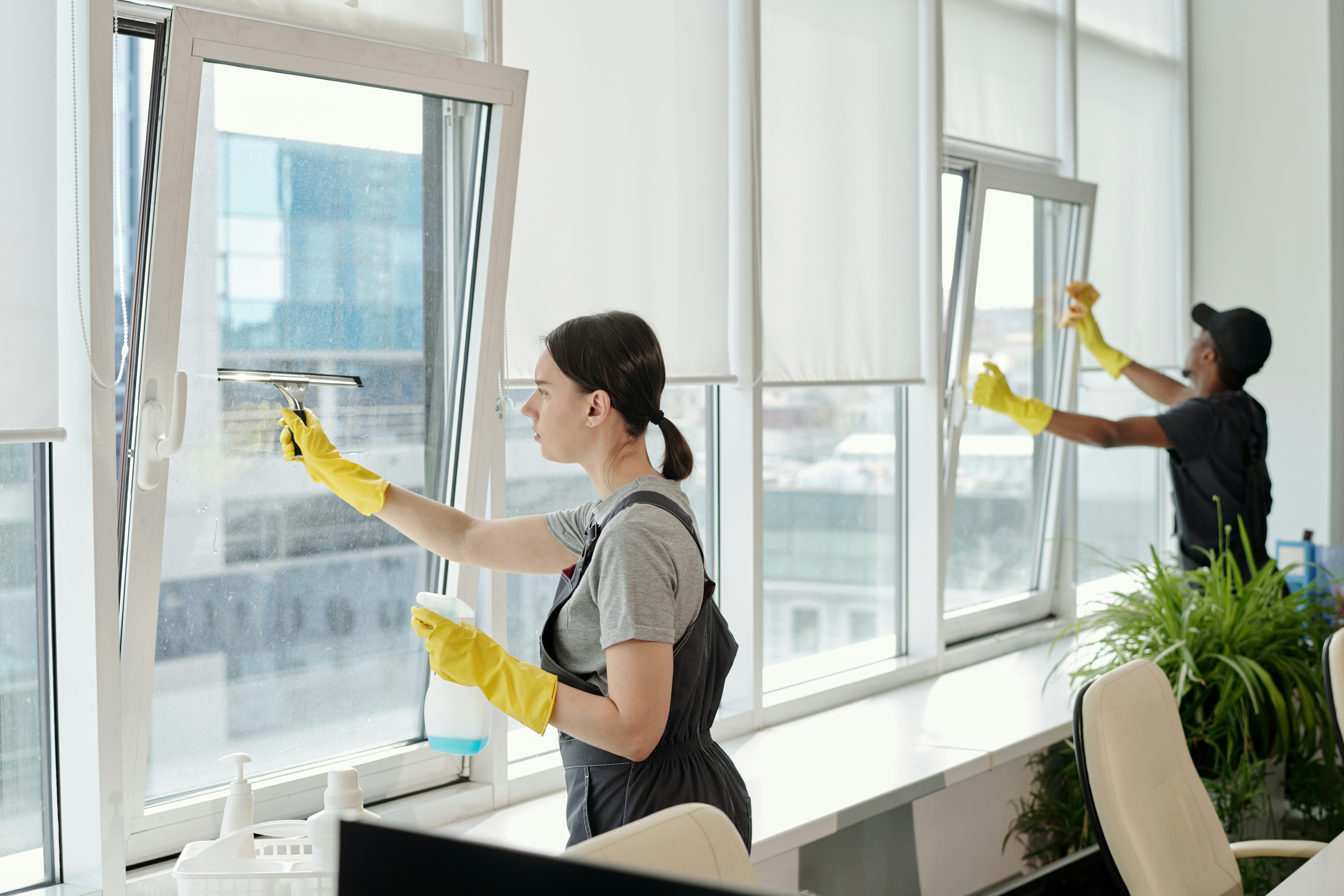 Cleaning professional smiling